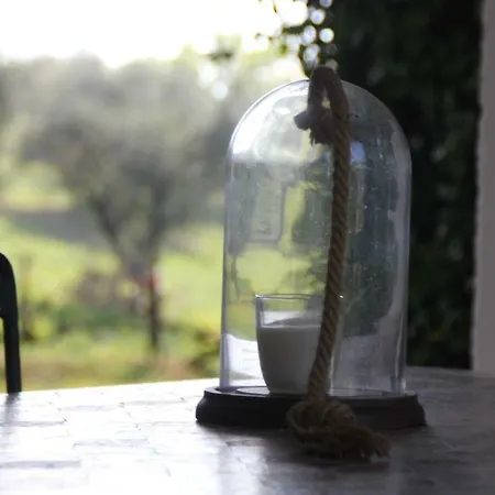 La Del Nonno Montefelcino
